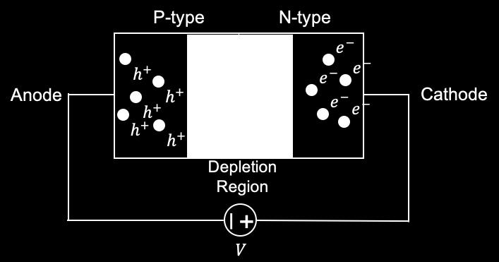 As they move, many electrons recombine with holes in the lattice. When this recombination happens, the electrons must emit their extra energy E G either as heat or light.