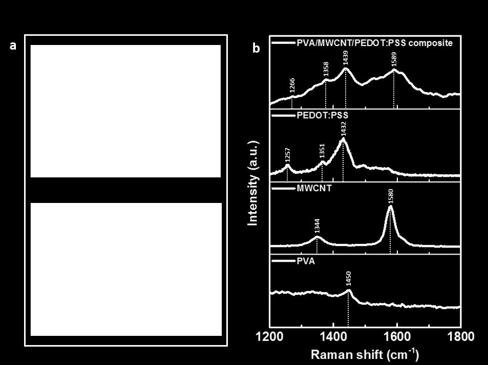images and (b) Raman spectra of