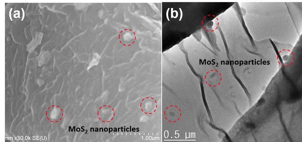 Fig. S2 High magnification of SEM and TEM images of