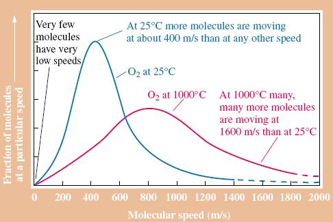 Maxwell-Boltzman distribution The average kinetic energy of gaseous molecules is directly proportional to the absolute temperature of the