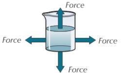 flow. They include gases and liquids Their particles have mass and are