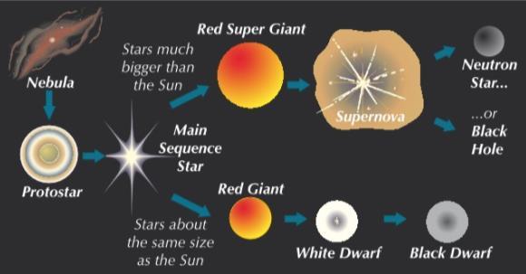 A492 Nebula Protostar Main sequence star (millions of years) Red Super Giant Supernova Neutron star OR black hole A491 Nebula Protostar Main Sequence Star ( billions of years) Red Giant White Dwarf
