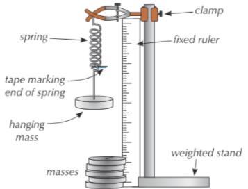 Q237 How can you calculate the elastic potential energy stored in a spring using a graph? What are the axes labels? Q238 A spring has a spring constant of 1.2 N/m. The spring deforms elastically.