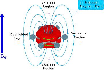 that oppose the applied field at the center of the ring and support the at the edge of