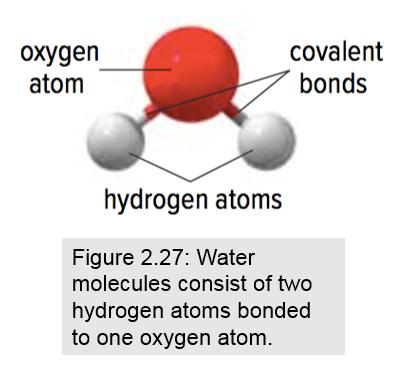 Covalent compounds are made of molecules Covalent bond: a strong