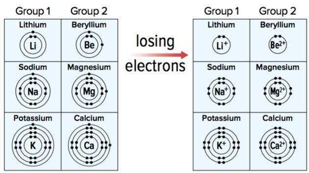 Metal atoms lose electrons Metals can lose electrons to achieve a full valence shell Form positive ions because they lose electrons Retain the same number of