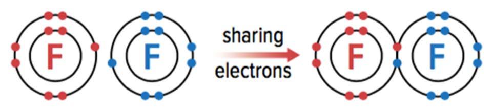 Non metals share electrons Non-metal atoms can share