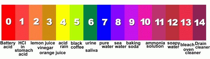 The ph scale ranges from 0-14 More Acidic