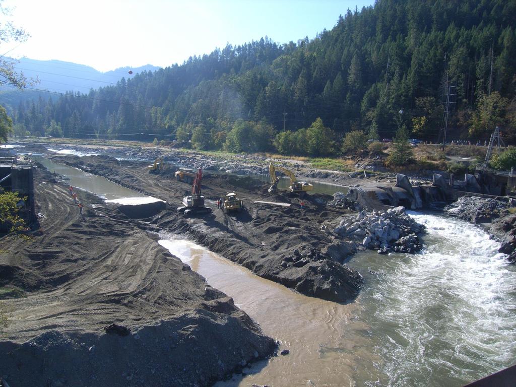 Develop Dam Removal and Sediment Management Alternatives Partial or complete dam removal Rapid or staged dam removal Removal during certain seasons or