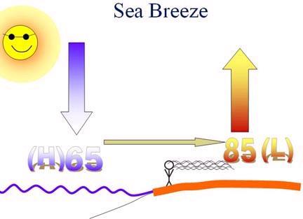Water has a high specific heat= takes longer to warm up and cool down Sea Breeze- Day Air sinks