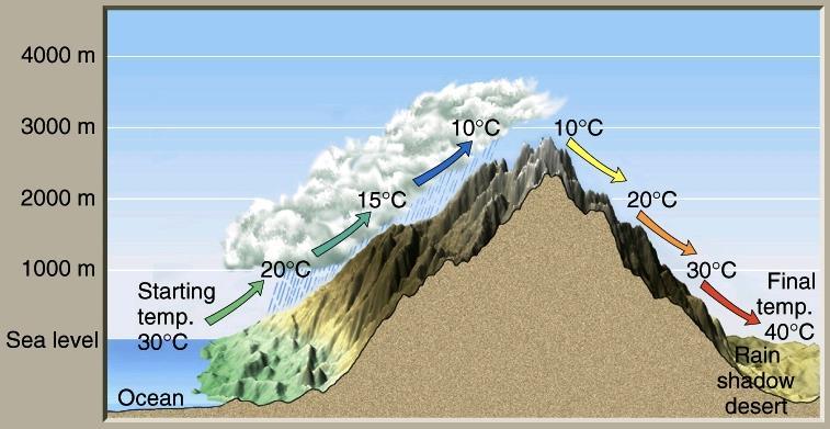 When air is forced to rise because it hits mountains, it will expand, cool, and condense - Windward side of