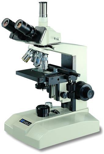A microscope provides enlarged