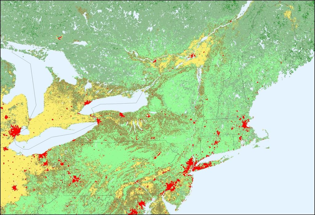 Land Cover Product, New England, 2001 Evergreen Needleleaf Forest Agriculture Agriculture/Natural