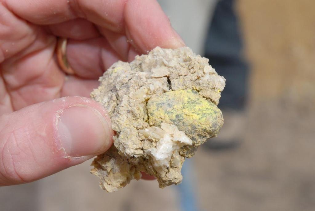Amarillo Grande - Geology and Mineralization Characteristics of Sandstone-Type and Surficial-Type uranium-vanadium deposits Sandstone-type Grants District, NM and Kazakhstan deposits