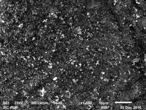 additionally the SEM images shows the morphology of the imprinted and nonimprinted polymers and these suggests that nonimprinted polymers (NIPs) and MIPs were spherical shape particles (Fig.