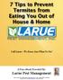 7 Tips to Prevent Termites from Eating You Out of House & Home