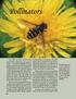 Pollinators. by Bob Armstrong & Marge Hermans from Southeast Alaska's Natural World