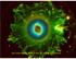 Cat's Eye Nebula, APOD 4 Sep 02, Corradi & Goncalves. Falk Herwig:»Nuclear Astrophysics with Neutron Facilities«MSU - 14 Feb 05