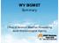 WV SIGMET Summary. Office of Aviation Weather Forecasting Japan Meteorological Agency