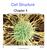 Cell Structure. Chapter 4
