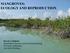 MANGROVES: ECOLOGY AND REPRODUCTION. Beverly J. Rathcke Department of Ecology and Evolutionary Biology University of Michigan Ann Arbor, Michigan