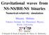 Gravitational waves from NS-NS/BH-NS binaries