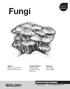 Fungi BIOLOGY. Visual Learning Company. Editors: Brian A. Jerome Ph.D. Stephanie Zak Jerome. Graphics: Fred Thodal Dean Ladago
