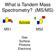 What is Tandem Mass Spectrometry? (MS/MS)