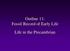 Outline 11: Fossil Record of Early Life Life in the Precambrian