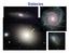 The Neighbors Looking outward from the Sun s location in the Milky Way, we can see a variety of other galaxies: