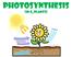 Photosynthesis. (in C 3 plants)