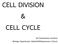 CELL DIVISION & CELL CYCLE. Ms.Tanyaratana Dumkua Biology Department, MahidolWittayanusorn School