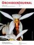 OrchideenJournal. Publisher: V.D.O.F. Vereinigung Deutscher Orchideenfreunde e.v. Vol
