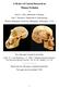 A Review of Current Research on Human Evolution