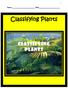 Name Date. Classifying Plants. Created by: Cammie s Corner