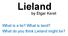 Lieland. by Etgar Keret. What is a lie? What is land? What do you think Lieland might be?