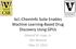 bcl::cheminfo Suite Enables Machine Learning-Based Drug Discovery Using GPUs Edward W. Lowe, Jr. Nils Woetzel May 17, 2012