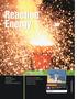 Reaction Energy CHAPTER 16. ONLINE Chemistry. Why It Matters Video