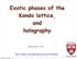 Exotic phases of the Kondo lattice, and holography