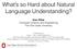 What s so Hard about Natural Language Understanding?