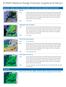 ECMWF Medium-Range Forecast Graphical Products