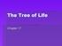 The Tree of Life. Chapter 17