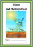 Plants and Photosynthesis