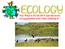 EQ: What is ECOLOGY and the levels of organization used when studying it?