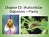 Chapter C3: Multicellular Organisms Plants