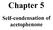 Chapter 5. Self-condensation of acetophenone