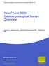 New Forest SSSI Geomorphological Survey Overview