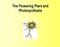 The Flowering Plant and Photosynthesis