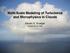 Multi-Scale Modeling of Turbulence and Microphysics in Clouds. Steven K. Krueger University of Utah