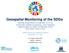 Geospatial Monitoring of the SDGs